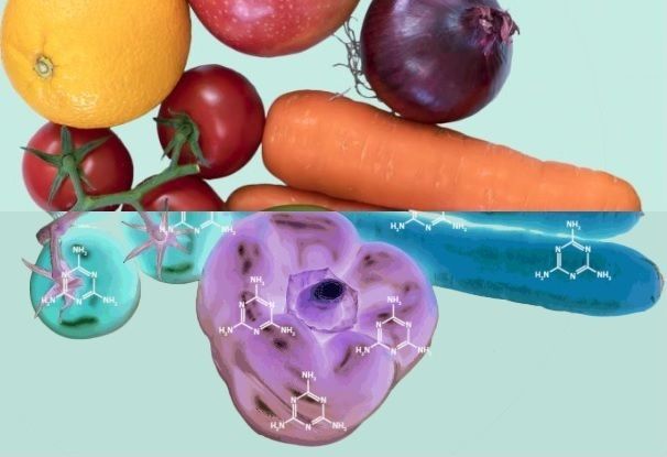 consultoria seguridad alimentaria riesgo quimico EFSA